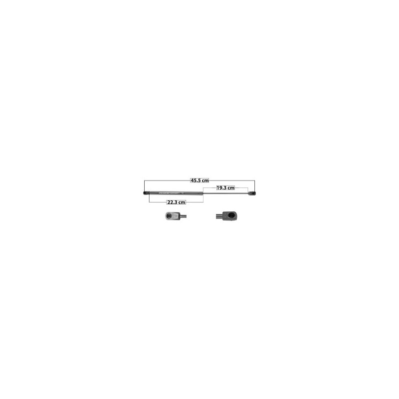 AMORTIGUADOR COFRE 200C CHRYSLER 50887