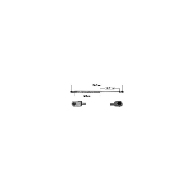 AMORTIGUADOR COFRE LOBO FORD 51038