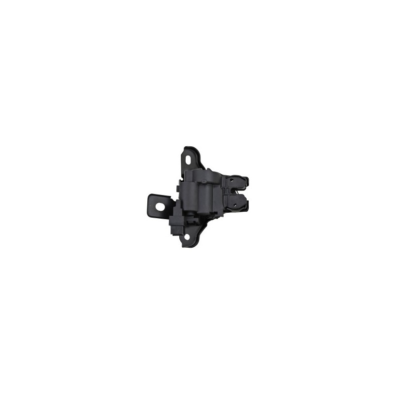 CHAPA DE CAJUELA FIGO FORD 107154