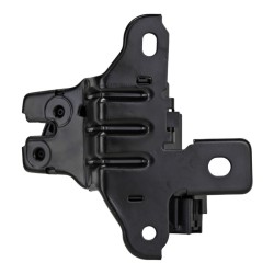 CHAPA DE CAJUELA FIGO FORD 107154