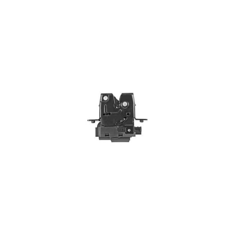 CHAPA DE PUERTA CLIO RENAULT 107395