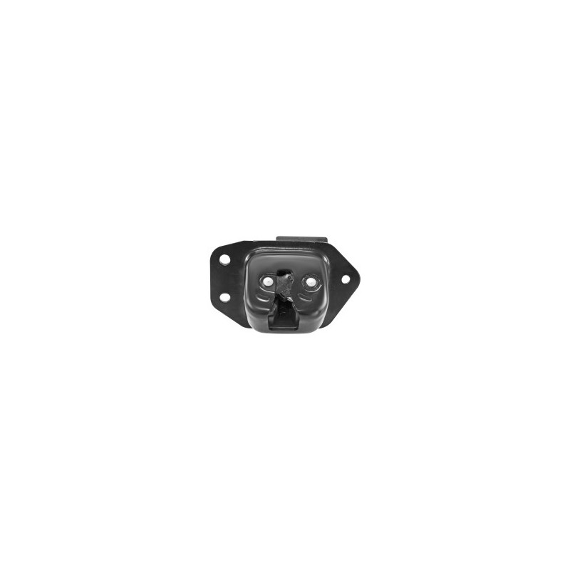 CHAPA DE PUERTA KOLEOS RENAULT 107890