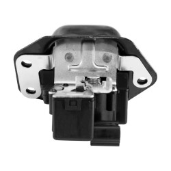 CHAPA DE PUERTA KOLEOS RENAULT 107890
