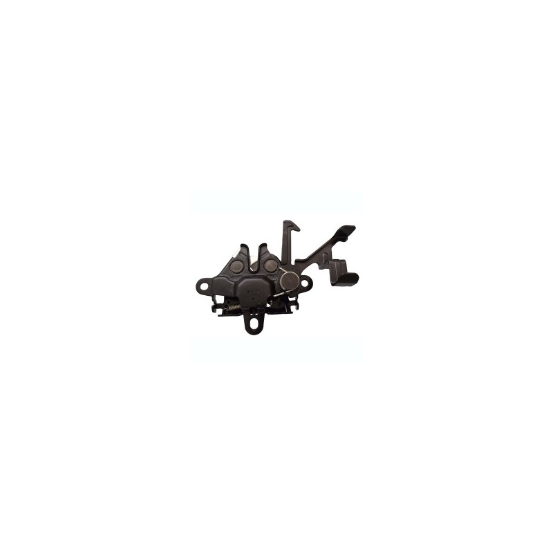 CHAPA DE COFRE TACOMA TOYOTA 101319