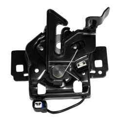 CHAPA DE COFRE F-550 Super Duty FORD 107877